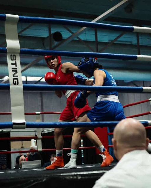 Two boxers in a boxing ring with 'STING' branding visible.