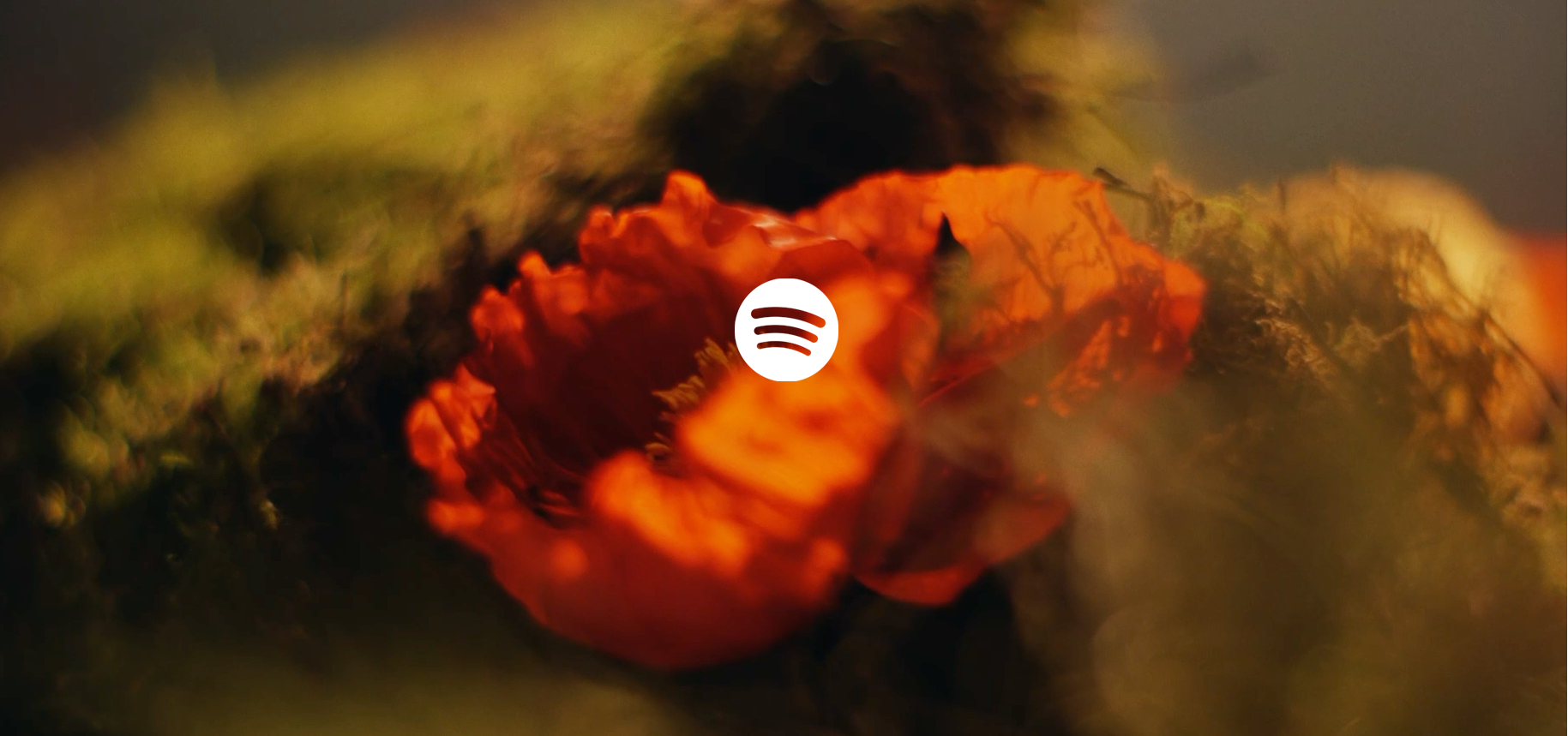 Spotify logo on a red flower with a blurred natural background