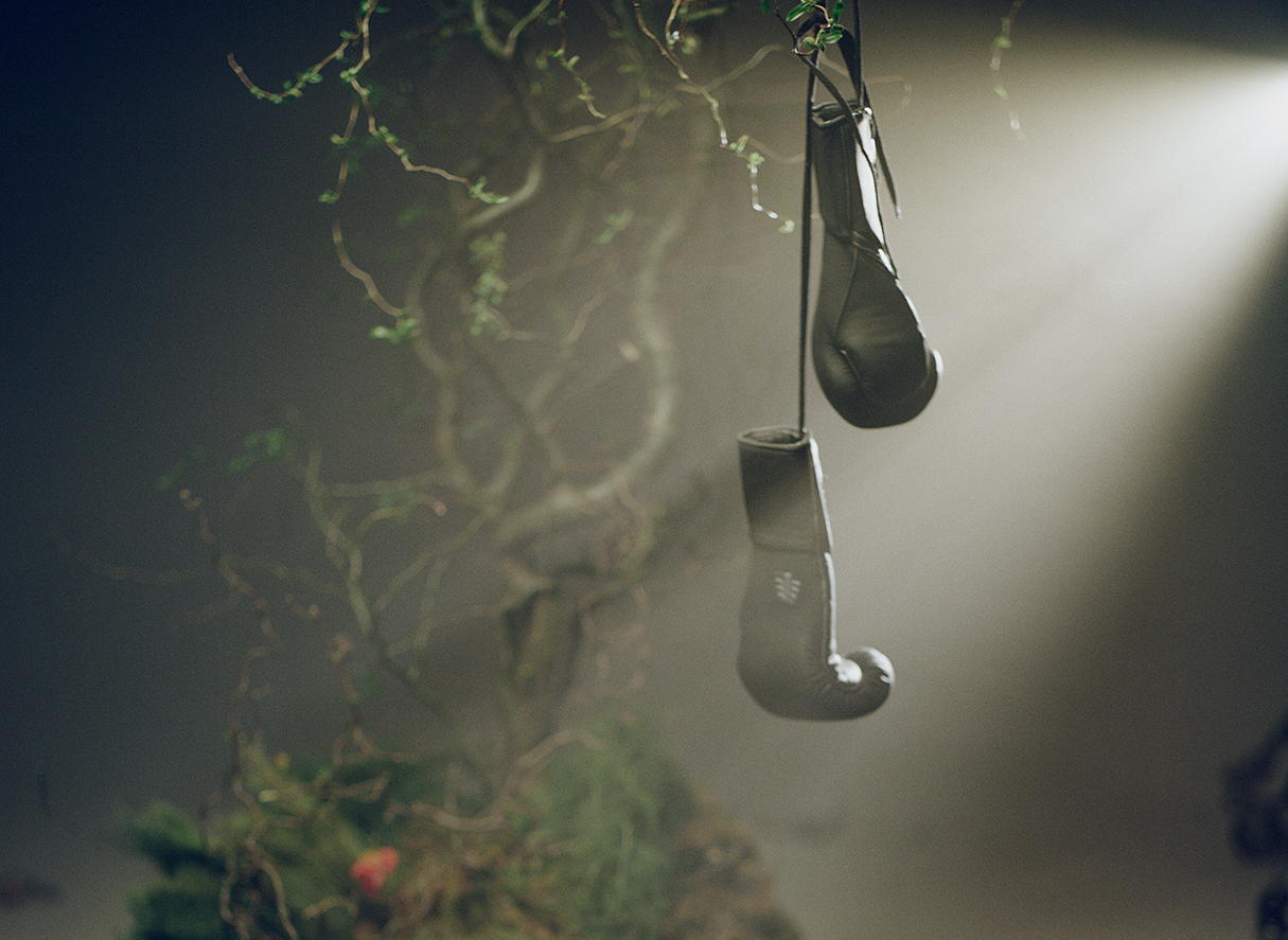 Pair of boxing gloves hanging from a branch in a forest setting